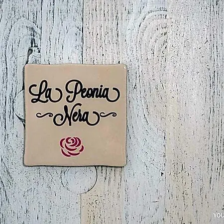 La Peonia 4*